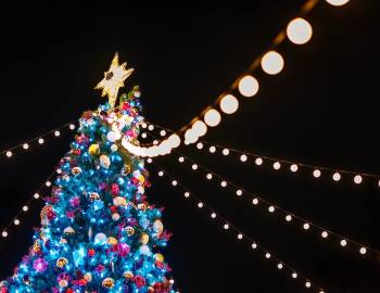 Closeup of an LED Christmas tree in a park