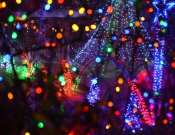 Night view of an assortment of LED Christmas lights