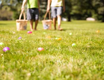 Easter Egg Hunt
