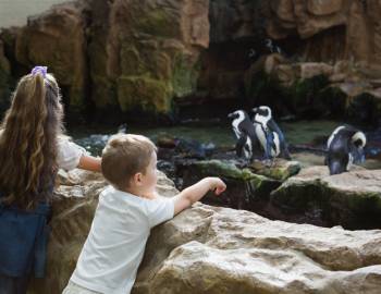 Children at an aquarium in Myrtle Beach