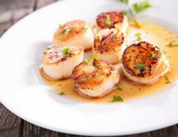 Scallops on a plate in a fine dining restaurant 