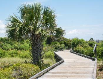 A walkway in Myrtle Beach State Park