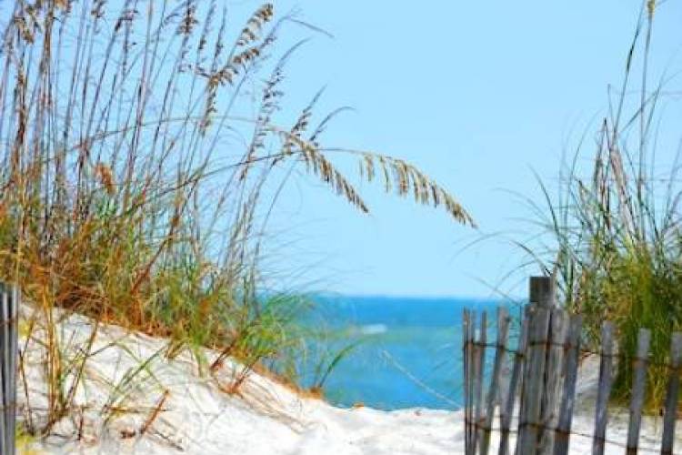 sand at Garden City beach