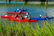 kayakers in marsh