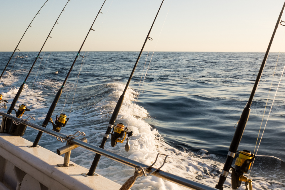 fishing rods on fishing charter boat