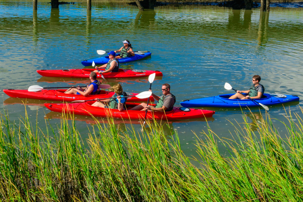 group of people kayking in marsh
