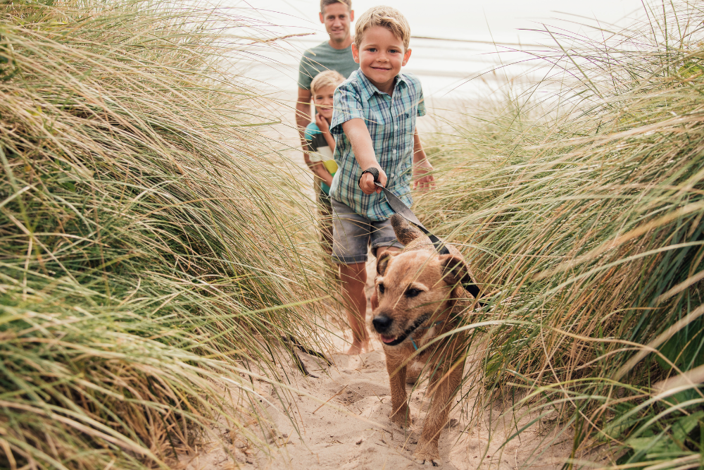 family walking dog on beach dunes