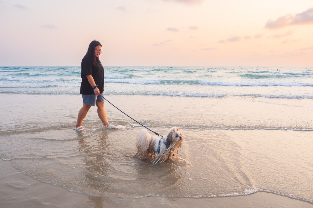 woman walking dog on beach