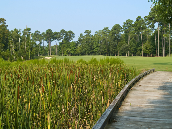 A golf course near Myrtle Beach