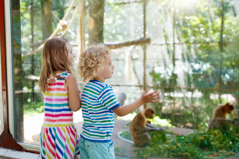 Children enjoy a day at the Lowcountry Zoo