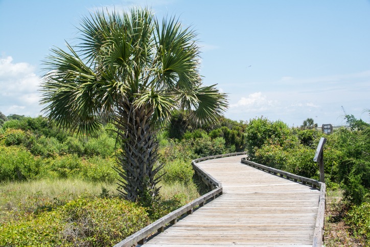 A walkway in Myrtle Beach State Park